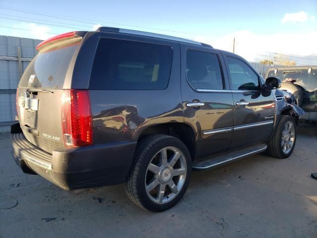 2010 Cadillac Escalade Luxury