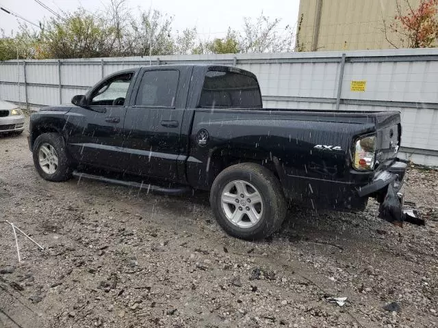 2011 Dodge Dakota SLT