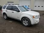 2009 Ford Escape Hybrid