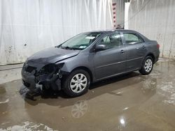 Toyota Corolla salvage cars for sale: 2010 Toyota Corolla Base