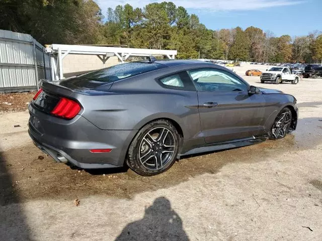 2023 Ford Mustang