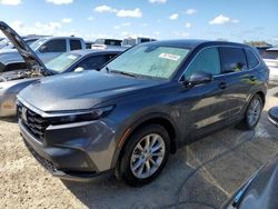 2024 Honda CR-V EX en venta en Arcadia, FL