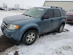 Salvage cars for sale at Rocky View County, AB auction: 2011 Ford Escape XLT