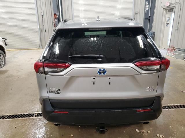 2019 Toyota Rav4 XLE