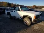 1989 Dodge Dakota Sport