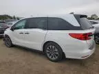 2024 Honda Odyssey EXL