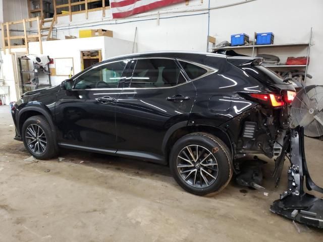 2025 Lexus NX 350H Base