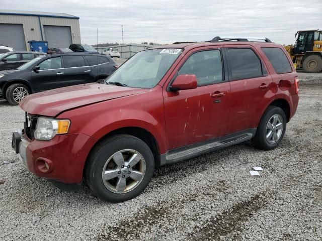 2011 Ford Escape Limited