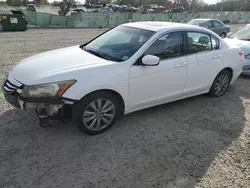 Honda Accord exl Vehiculos salvage en venta: 2011 Honda Accord EXL