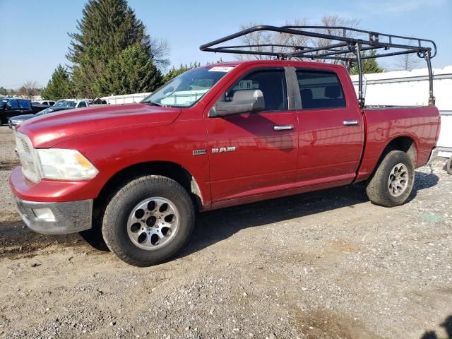 2010 Dodge RAM 1500