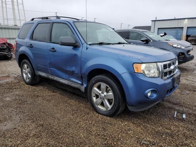 2010 Ford Escape XLT