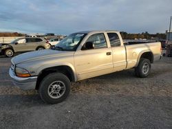 Camiones salvage a la venta en subasta: 1999 Dodge Dakota