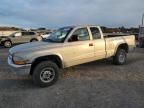 1999 Dodge Dakota