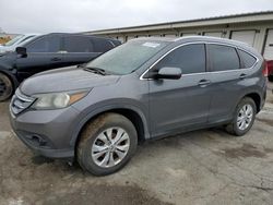 Salvage cars for sale from Copart Louisville, KY: 2013 Honda CR-V EXL