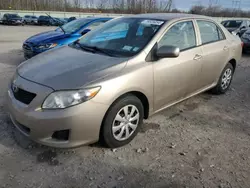 Vehiculos salvage en venta de Copart Leroy, NY: 2009 Toyota Corolla Base