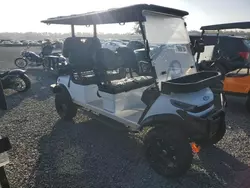 Salvage motorcycles for sale at Riverview, FL auction: 2024 Golf Cart Cart