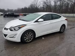 Salvage cars for sale at Ellwood City, PA auction: 2014 Hyundai Elantra SE