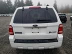 2009 Ford Escape Hybrid