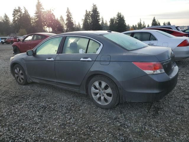 2009 Honda Accord EXL