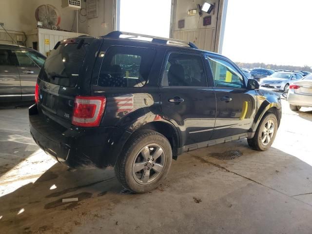 2011 Ford Escape Limited