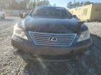 2010 Lexus LS 460