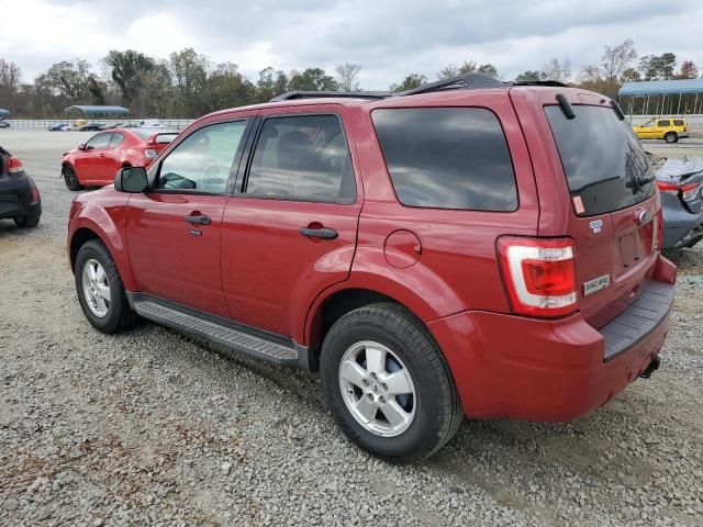 2010 Ford Escape XLT