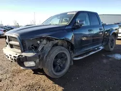 Salvage trucks for sale at Rocky View County, AB auction: 2010 Dodge RAM 1500