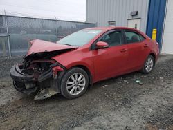 Salvage cars for sale at Elmsdale, NS auction: 2014 Toyota Corolla L