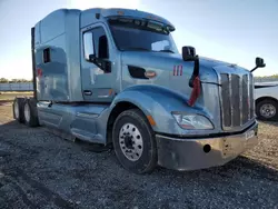 Salvage trucks for sale at Houston, TX auction: 2016 Peterbilt 579