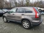 2009 Honda CR-V EX