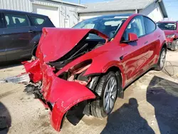 2023 Tesla Model Y en venta en Pekin, IL