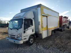 Isuzu NPR salvage cars for sale: 2019 Isuzu NPR