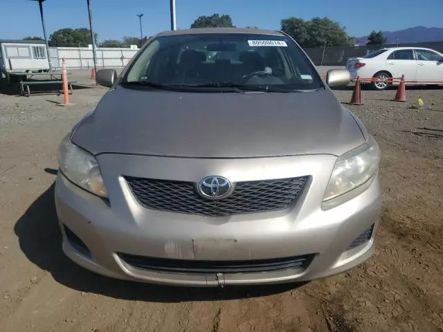 2009 Toyota Corolla Base