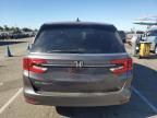 2024 Honda Odyssey EXL