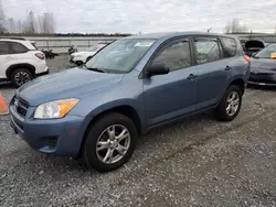 Toyota salvage cars for sale: 2010 Toyota Rav4