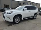 2019 Lexus GX 460