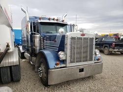 Salvage trucks for sale at Cicero, IN auction: 2006 Peterbilt 379