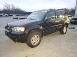 Ford Escape salvage cars for sale: 2006 Ford Escape Limited