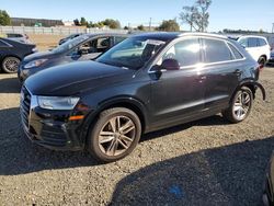 Salvage cars for sale at American Canyon, CA auction: 2016 Audi Q3 Premium Plus