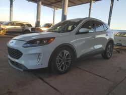 Ford Escape sel salvage cars for sale: 2022 Ford Escape SEL