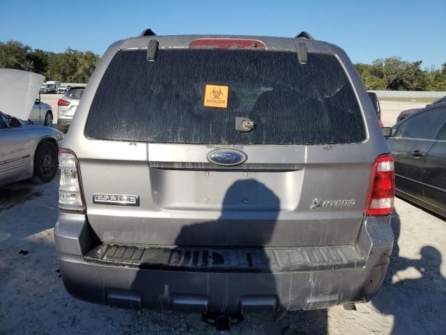 2008 Ford Escape HEV