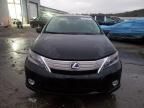 2011 Lexus HS 250H