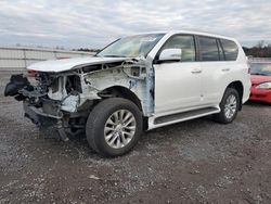 Salvage cars for sale at Fredericksburg, VA auction: 2017 Lexus GX 460