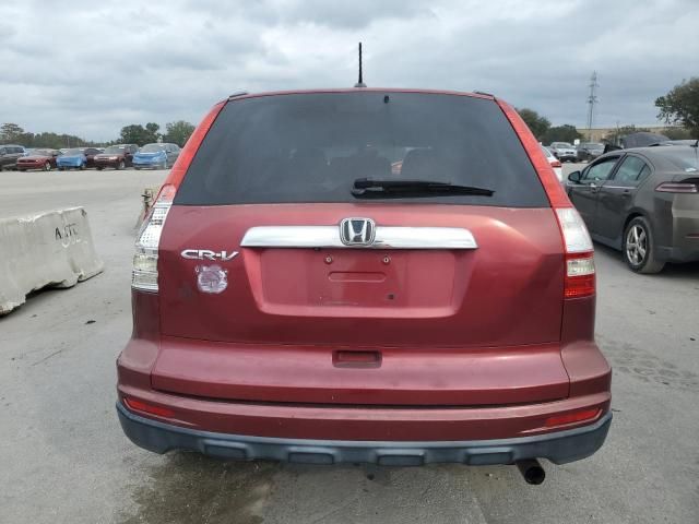 2010 Honda CR-V EXL