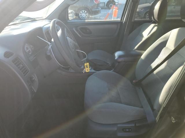 2007 Ford Escape XLT