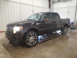 Ford f150 Supercrew Vehiculos salvage en venta: 2010 Ford F150 Supercrew