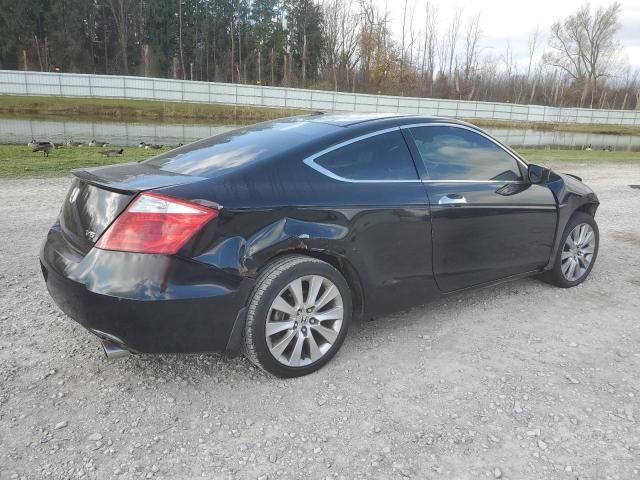 2008 Honda Accord EXL