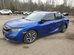 Salvage cars for sale from Copart Cookstown, ON: 2020 Honda Civic EX