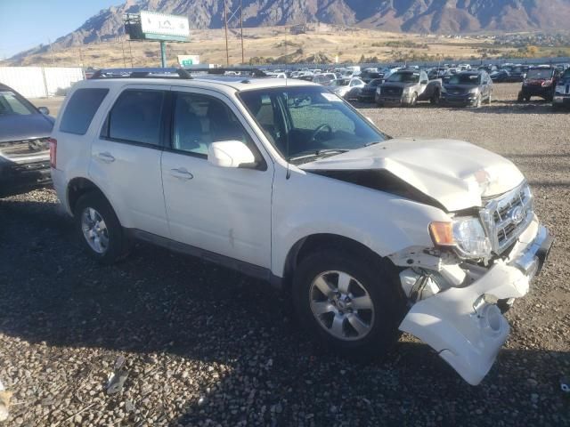 2009 Ford Escape Limited