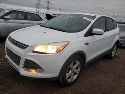 Ford Vehiculos salvage en venta: 2014 Ford Escape SE